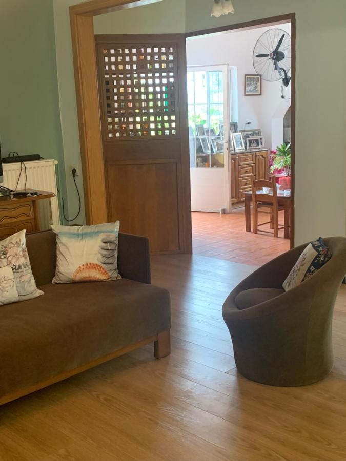 ArménoiIrini House别墅 外观 照片